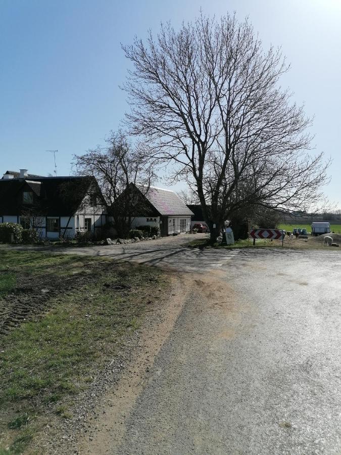 Byens rareste B&B Harlev  Eksteriør bilde