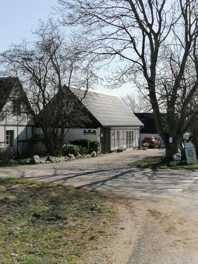 Byens rareste B&B Harlev  Eksteriør bilde